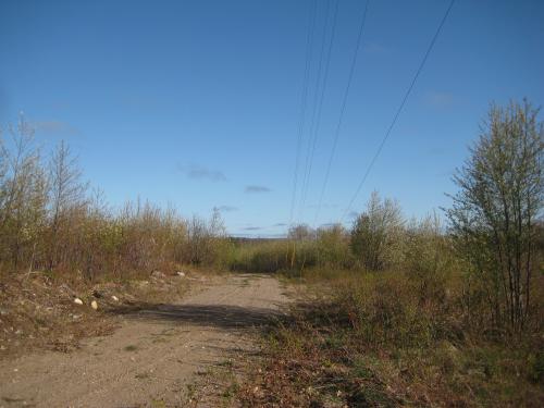 Dusty two-track and radio wires