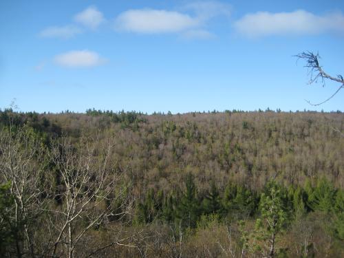 First view of Eastern Clark Creek