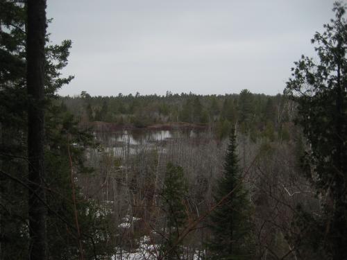 Brush-filled marshes below Brockway ridge