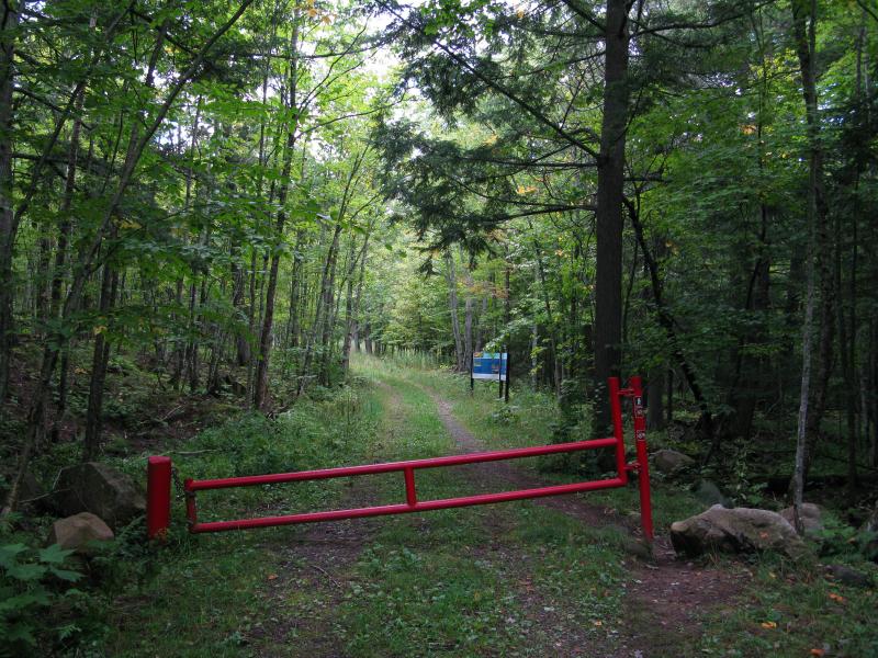 The red gate in the green woods
