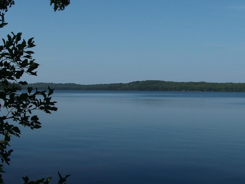 Calm waters on the southern shore of Lake Desor