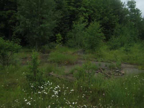 Foundations of the long gone houses