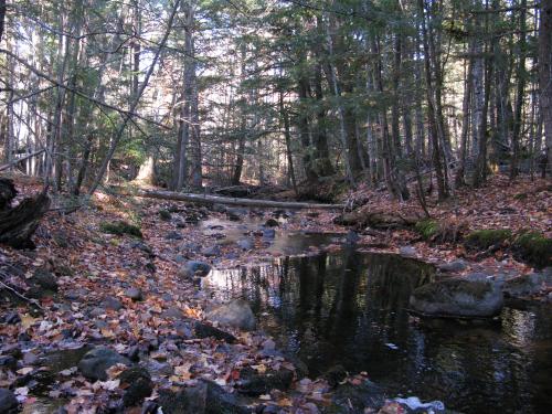 Small tributary of Elm Creek