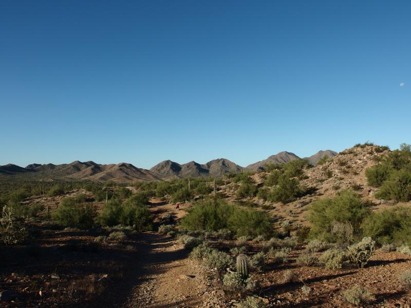 Hard-packed desert trail