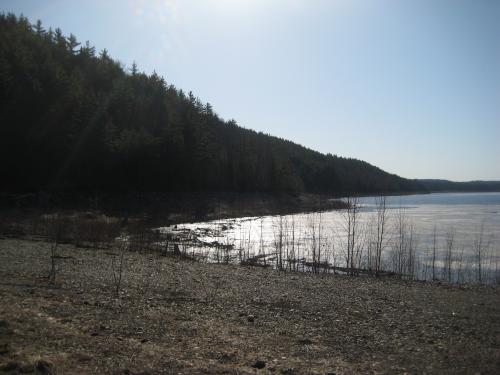 North-eastern edge of Silver Basin