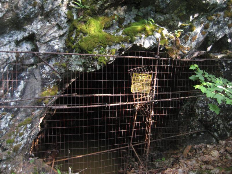 Mine Shaft from the old Silver Lead Mine
