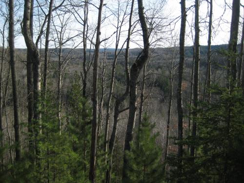 Looking across Sturgeon River gorge