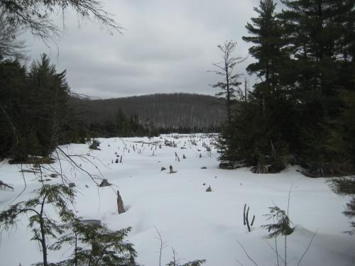 Snow covered Weidman Lake