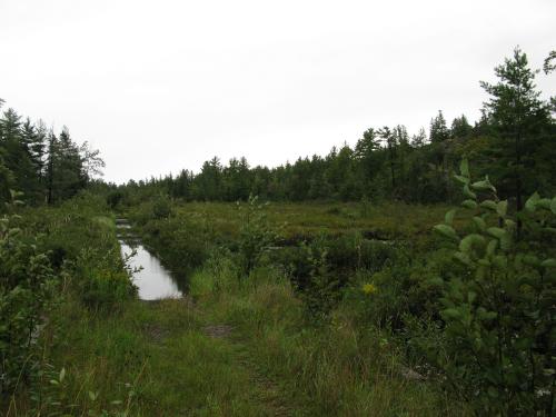 Flooded railroad grade south of Wetmore Pond