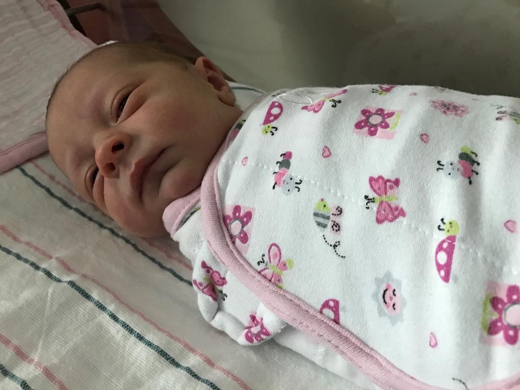 Blog | A Girl Named Charlotte
