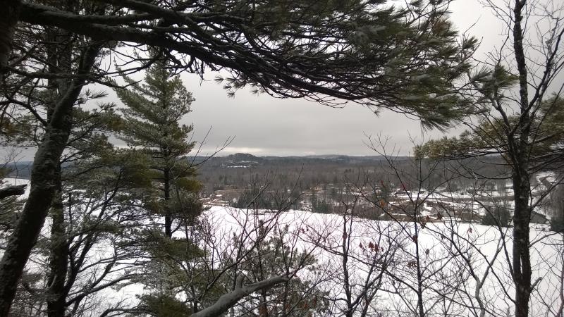 A partial obstructed view to Negaunee