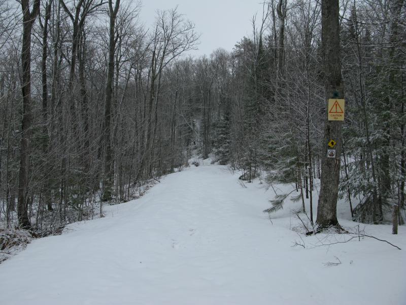 A steep downhill section of trail