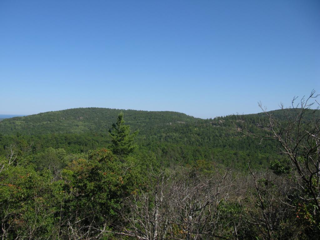 Blog | Eastern Alder Hill