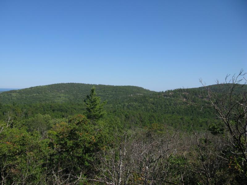 First view of the southeast Alder Hill