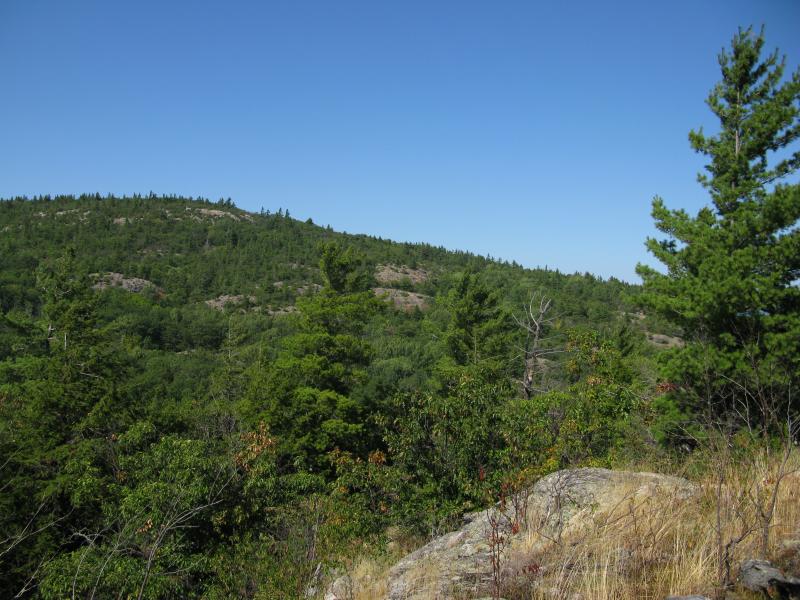 Many outcroppings on the south face
