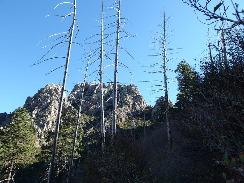 Sharp jags high up on Brother's Peak