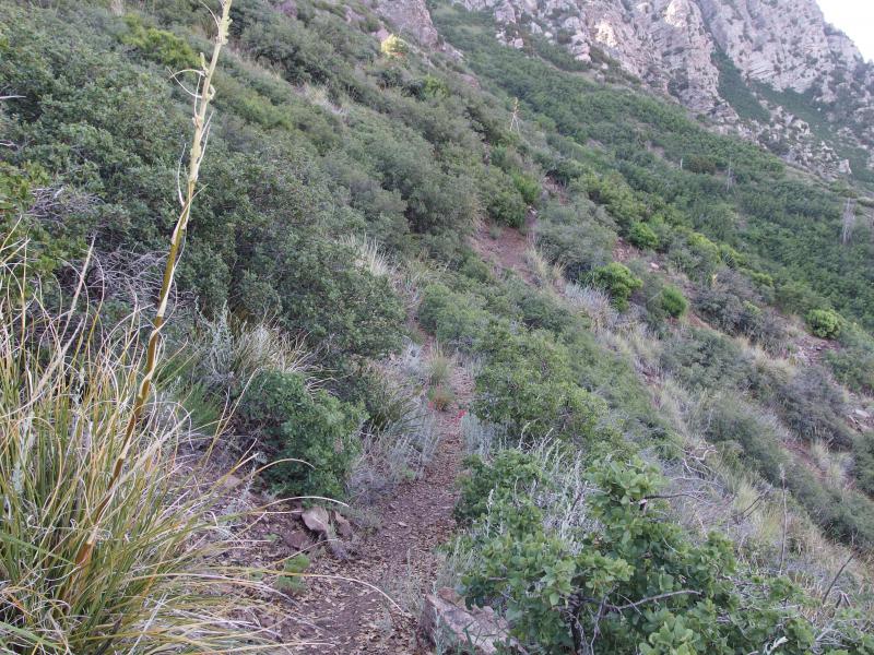 Little path circling around the mountains