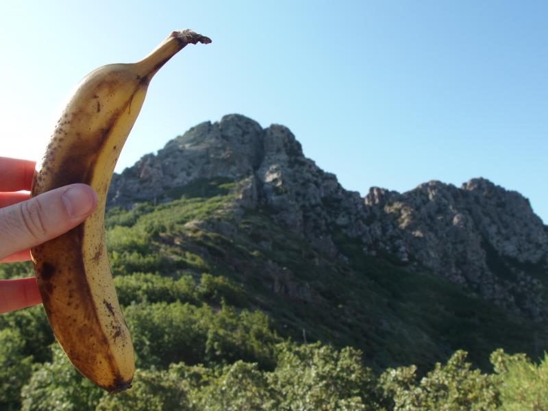 Using a banana for scale on Browns Peak