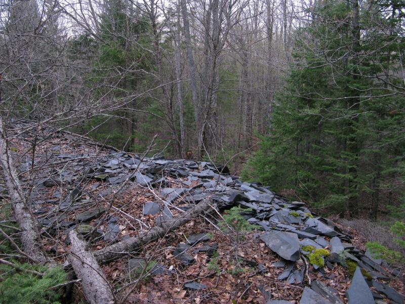 Wet slick piles of slate rock