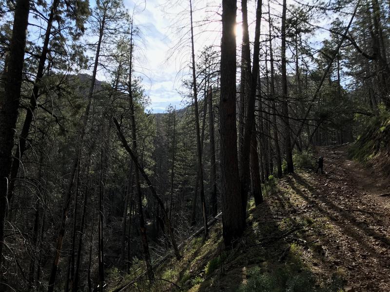 Climbing up the old, steep road