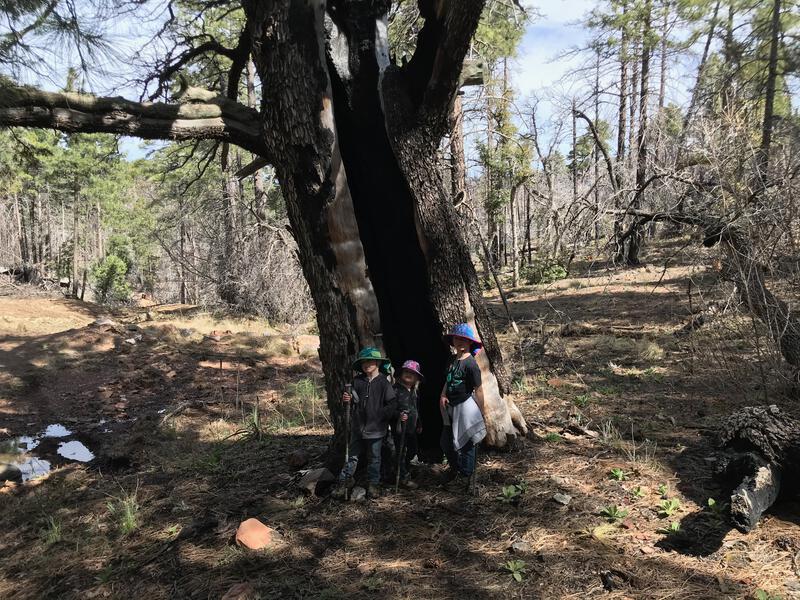 Quick pose with a large juniper