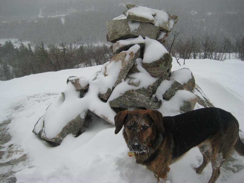 Snow covered Logan on Bald Mountain