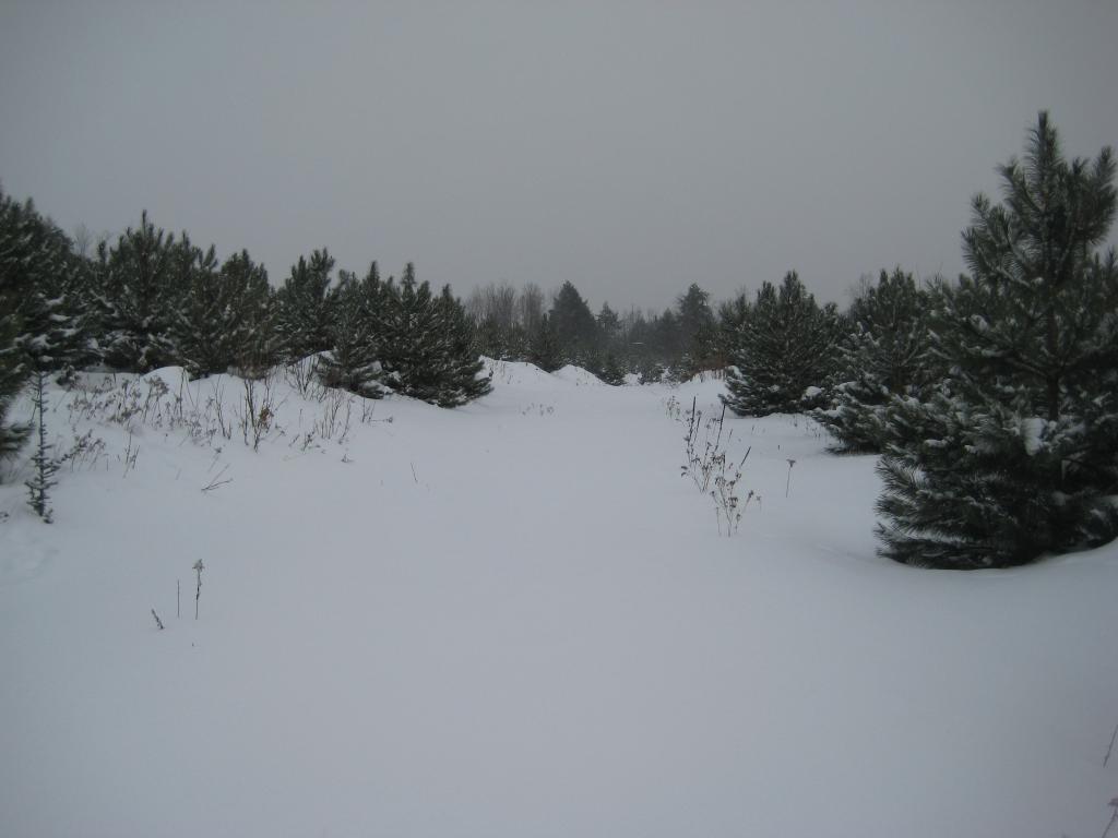 Blog | Bald Mountain