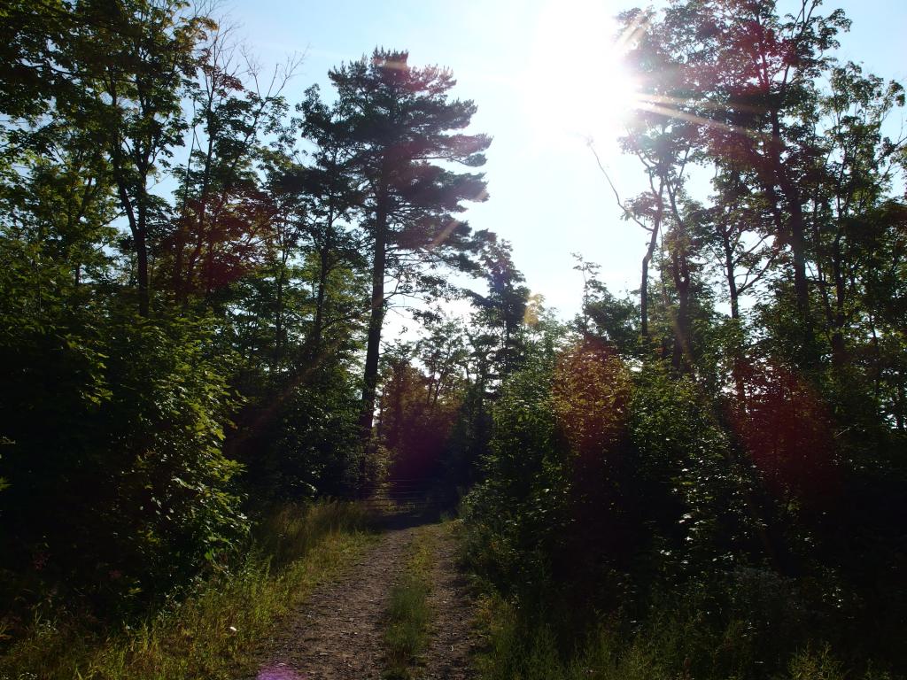 Blog | Under Bare Bluff