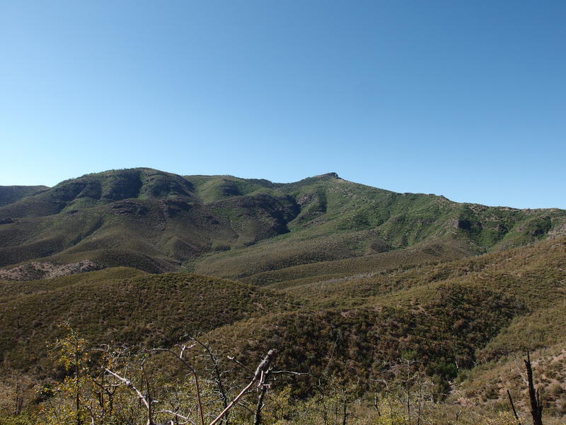 Looking south at Mazatzal Peak