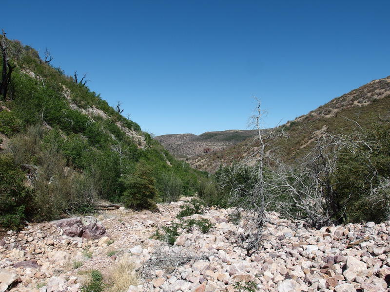 Taking the rocky creek downhill