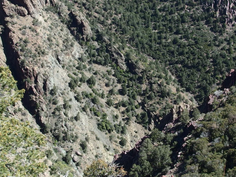 Sharp drop down into Barnhardt Canyon