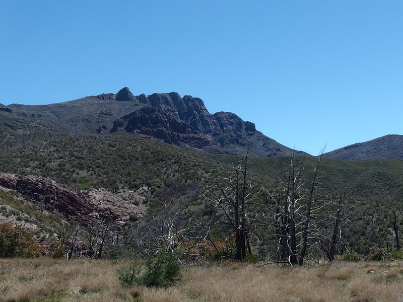 An excellent view back at Mazatzal Peak