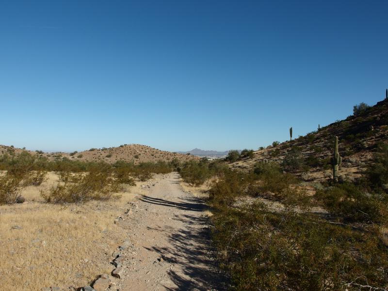 Straight section of trail