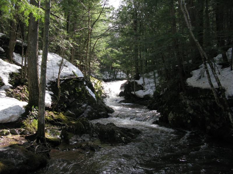 An inaccessible chute on Big Pup Creek