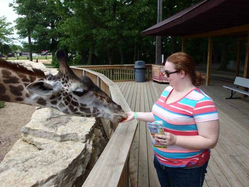 Katie and the giraffe