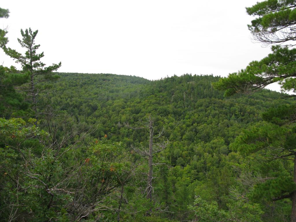 Blog | Blind 35 Hills - South Side
