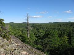 Looking east along a steep outcropping