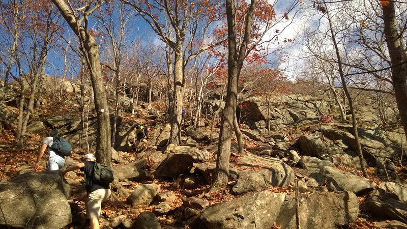 Typical bouldering around fall trees