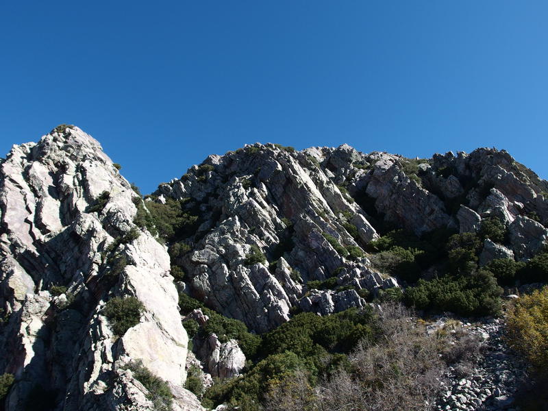 Looking back at Brown's Peak