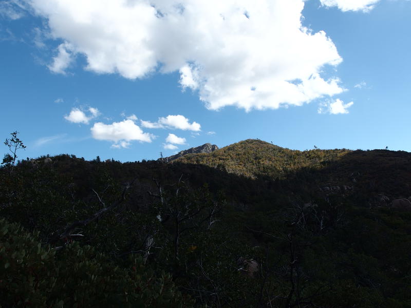 Brown's Peak poking up in the distance