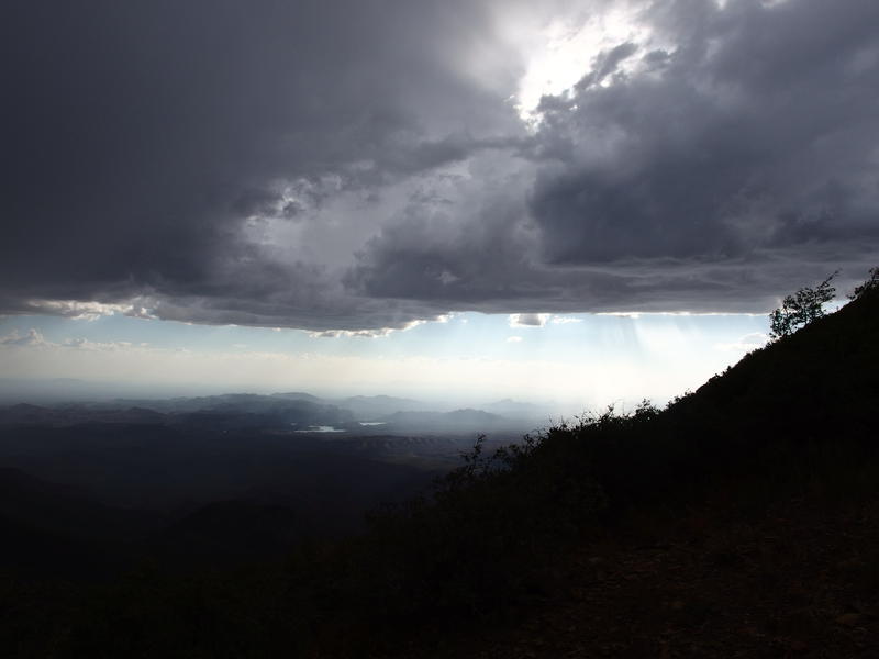 Dim rainy skies over the wilderness