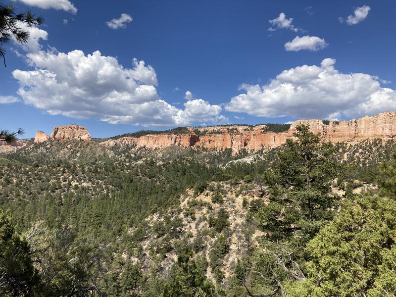 Looking back at the Swamp Canyon area