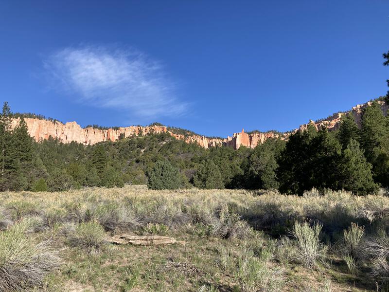 Grassy meadow along the trail