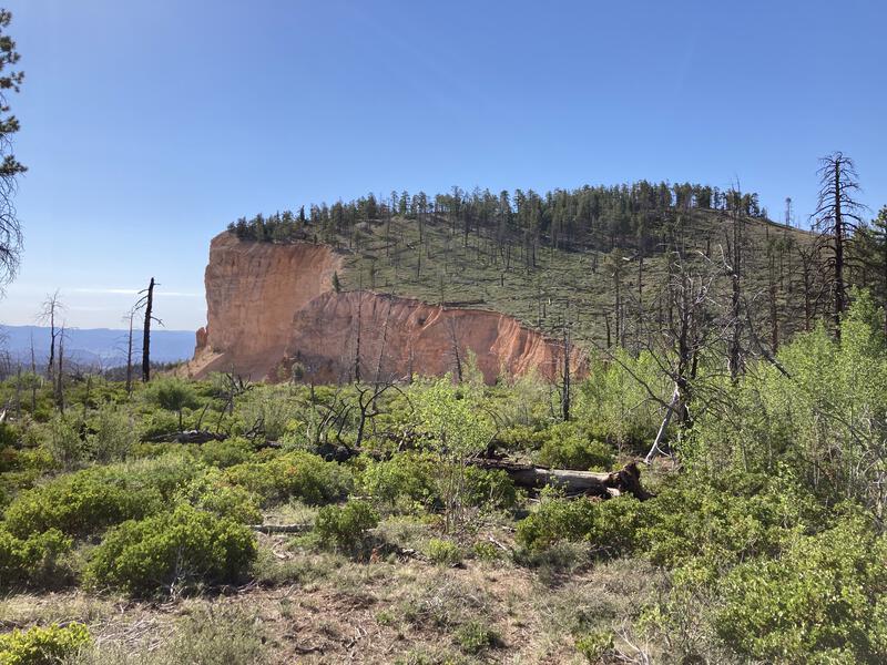 Noon Canyon Butte