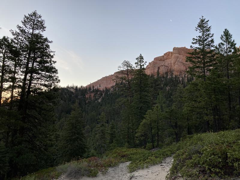 Sand, trees, and rocks