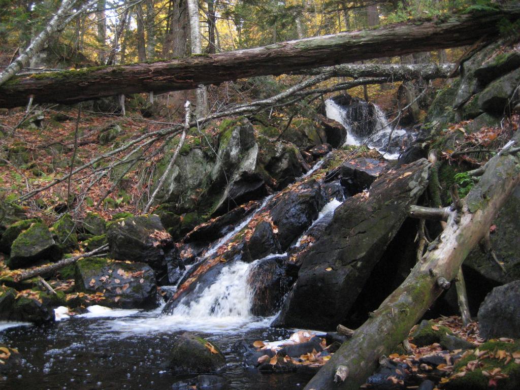 Blog | Yellow Dog River