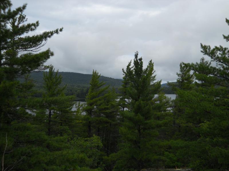 Obstructed view of Mountain Lake