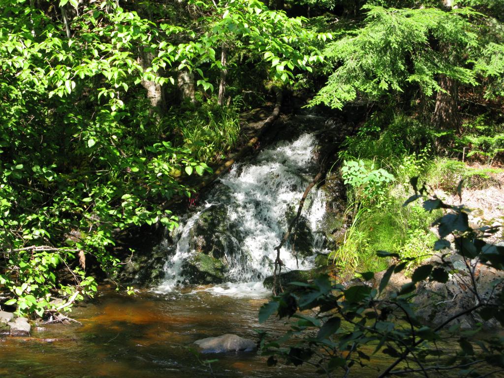 Blog | Brushy Creek Ridge