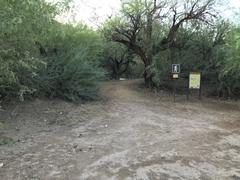 A wide, wild trailhead on the bach