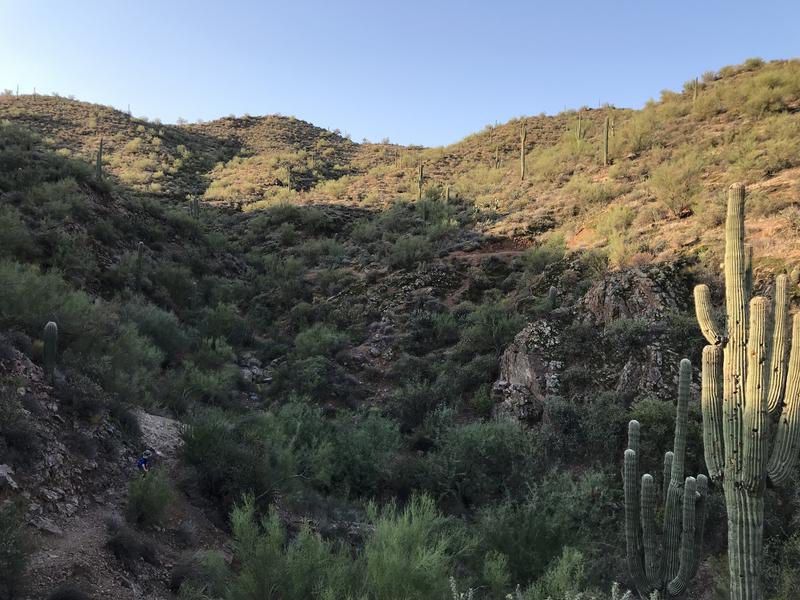 Trail zig-zagging up a narrow canyon